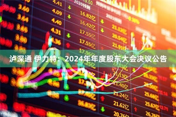 泸深通 伊力特：2024年年度股东大会决议公告