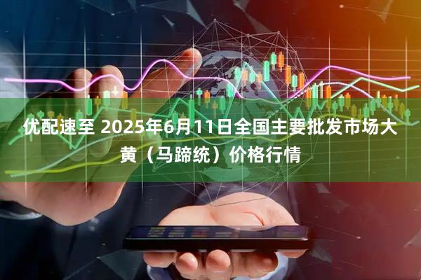 优配速至 2025年6月11日全国主要批发市场大黄（马蹄统）价格行情