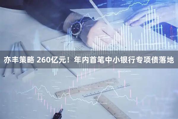 亦丰策略 260亿元！年内首笔中小银行专项债落地