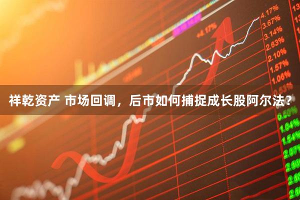 祥乾资产 市场回调,后市如何捕捉成长股阿尔法?