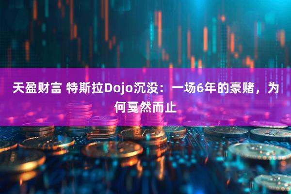 天盈财富 特斯拉Dojo沉没：一场6年的豪赌，为何戛然而止