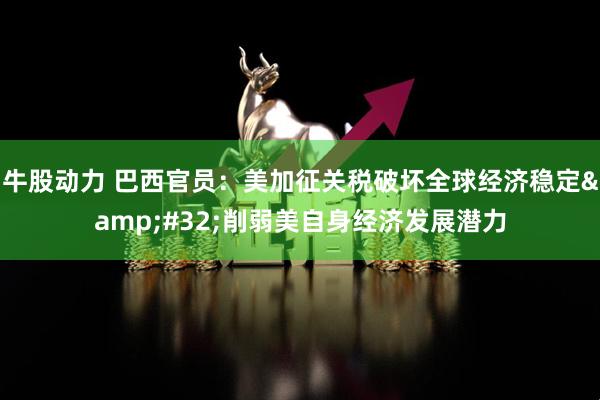 牛股动力 巴西官员：美加征关税破坏全球经济稳定 削弱美自身经济发展潜力