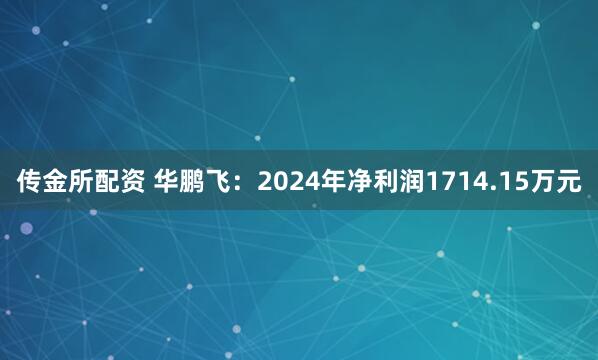 传金所配资 华鹏飞：2024年净利润1714.15万元
