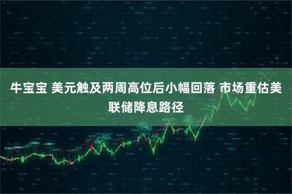 牛宝宝 美元触及两周高位后小幅回落 市场重估美联储降息路径